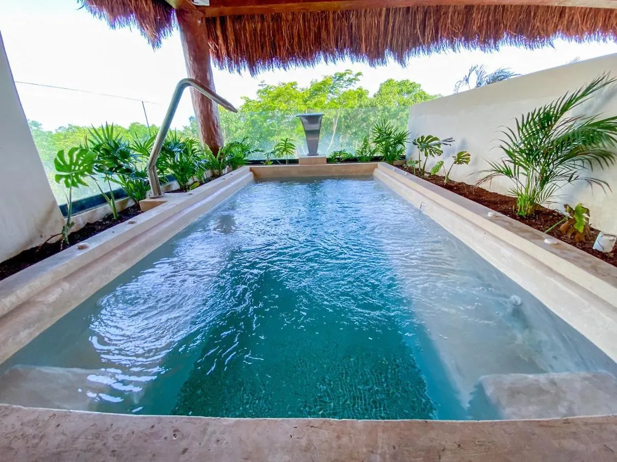 Stylish 1Br Home With Pool Gym Reception Pet Friendly Tulum